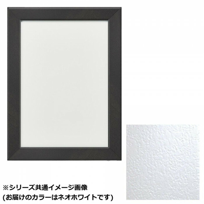 デッサン額 小全紙サイズ 659×509mm アクリル仕様 アルミ製 展示 額縁