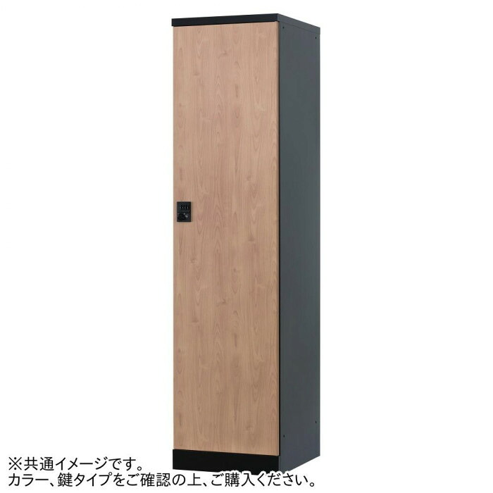 ロッカー 1人用 文字盤錠 引っ敷き黒いこと 扉赤銅色 スチール写真製 事務室 オフィス収納-ロッカー