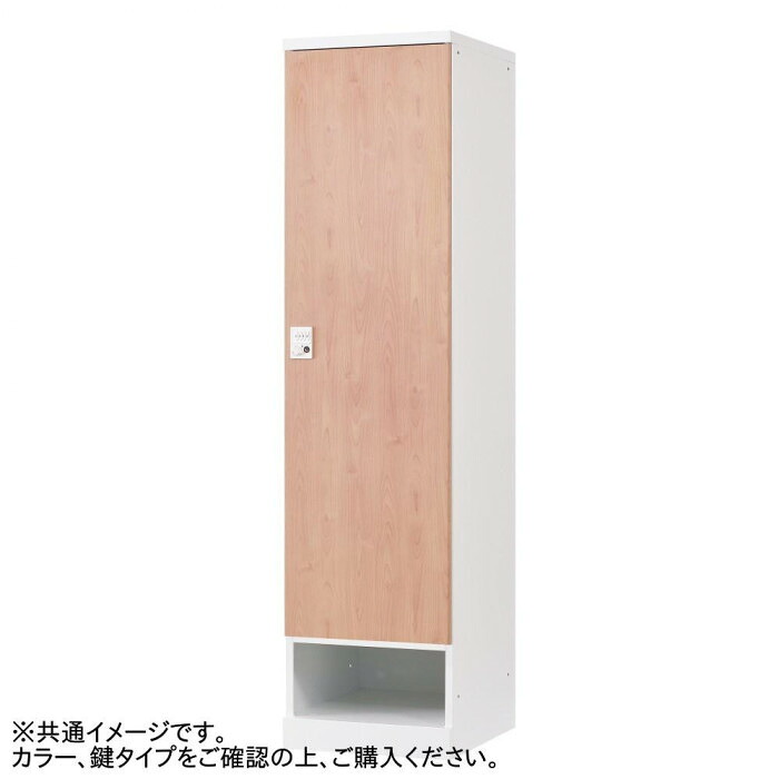 公公然たる印字機1人用ロッカー 内筒取り替えっこ錠 白いこと スチール写真ロッカー ロッカー-インテリア・寝具・収納-オフィス収納