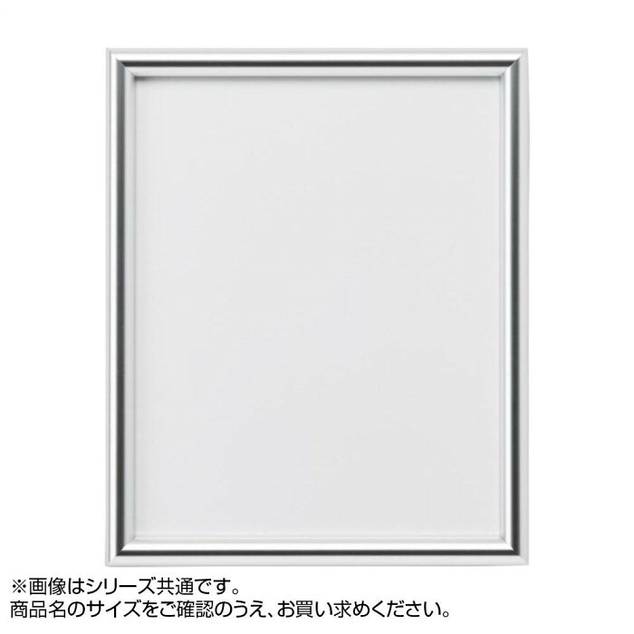 アルナ アルミフレーム デッサン額 IC シルバー 500角・2238