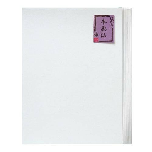 はがき 横倍判 本画仙 梅 100枚入り 絵手紙用ハガキ 伝統工芸 和紙 日本製