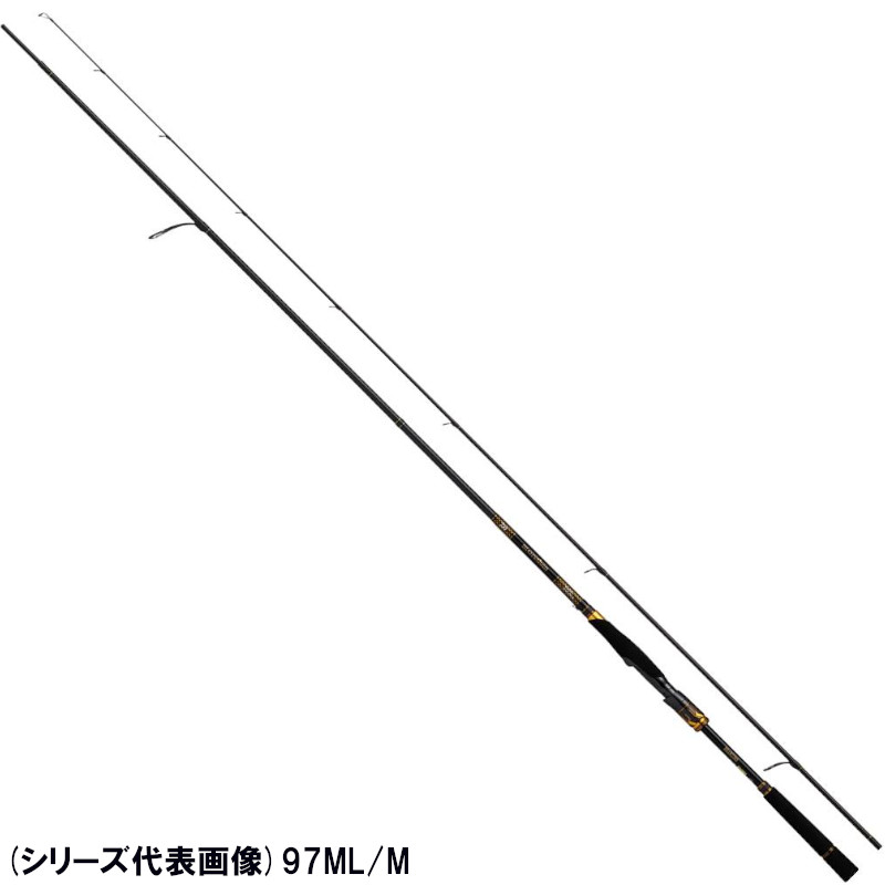 買い誠実 ダイワ モアザン ブランジーノEX AGS 94ML※単品注文限定 別