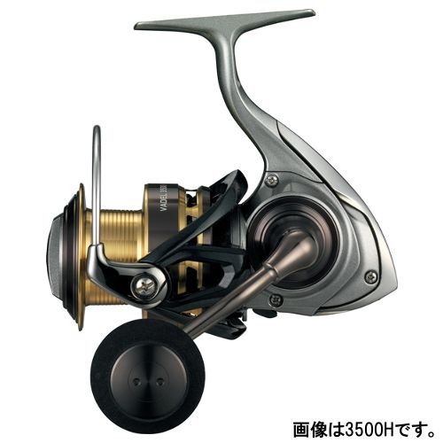 【5月25日は楽天カードがお得!エントリーで最大35倍!】 ダイワ LT LT5000D-CXH ブラスト
