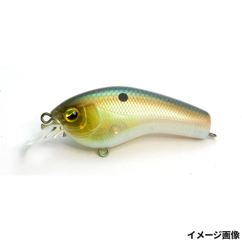 楽天市場】【楽天ブラックフライデー！3点購入で最大28倍！】レイド