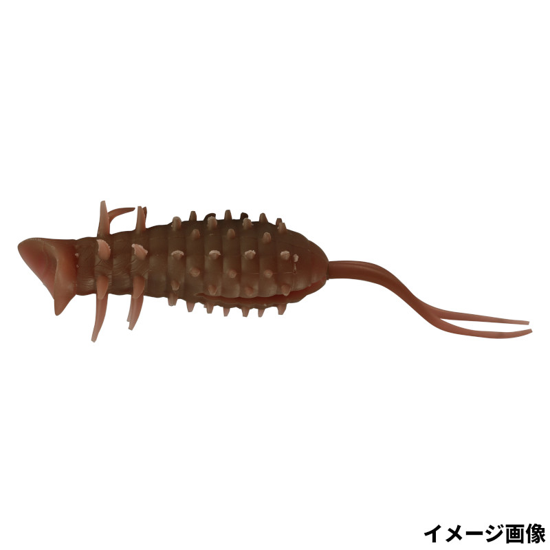 ハイドアップ　コイケ13mm 6個セット HIDEUP HIDEUP/ハイドアップ 究極コイケ 13mm センター