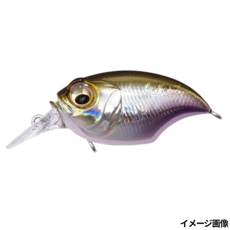 楽天市場】Megabass(メガバス) グリフォン ベイト フィネス SR-X