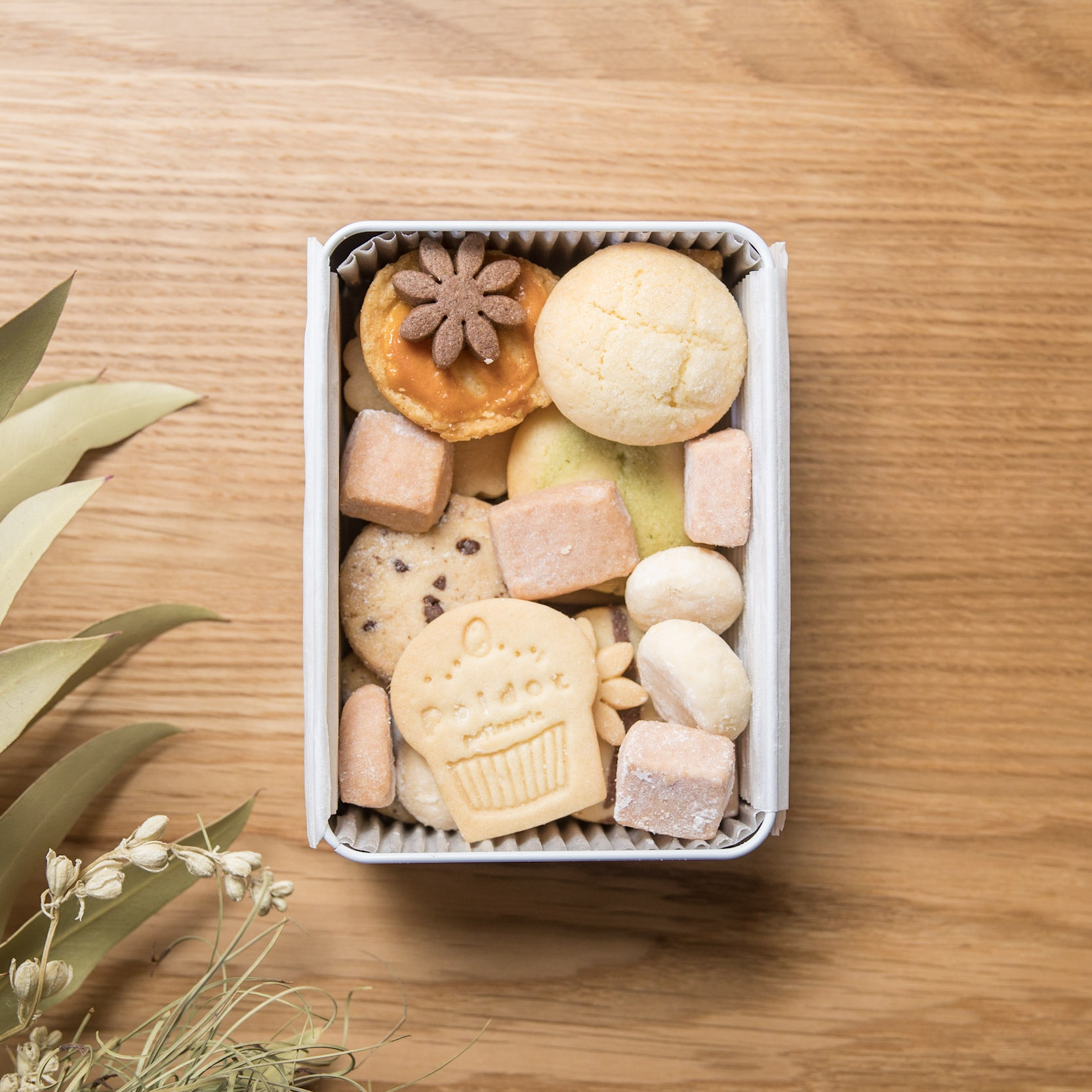 プティ Dotテディ P19 クッキー缶 ギフト チョコ以外 くまさん