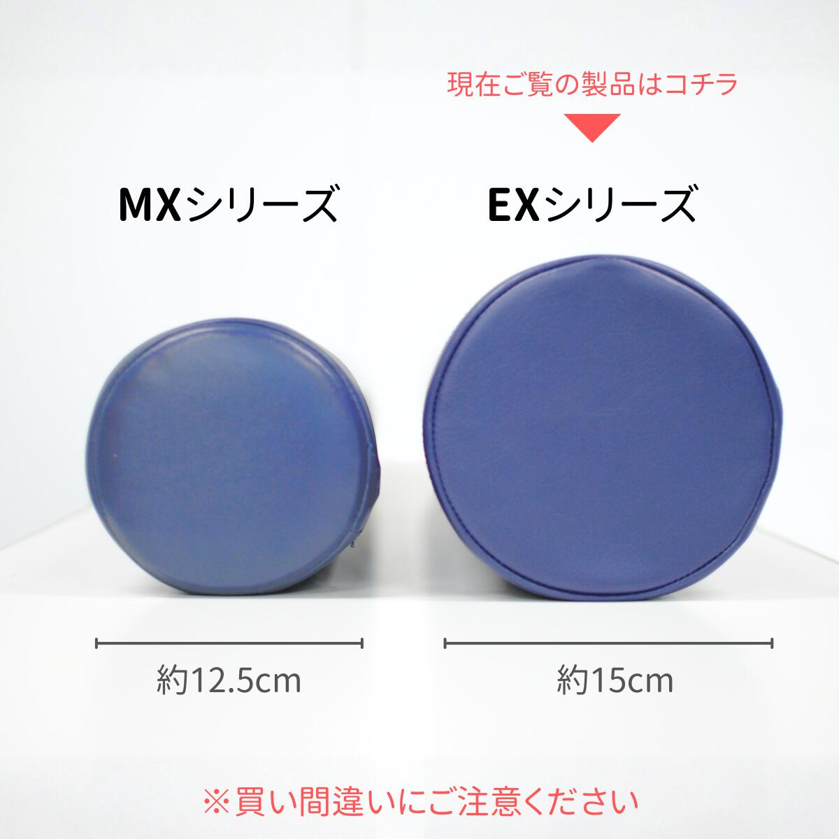 LPN ストレッチポールEX(アイボリー)スタートBOOK、エクササイズDVD