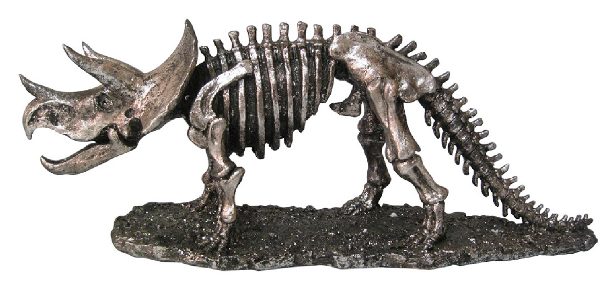 楽天市場 恐竜の化石 トリケラトプス ユキポート