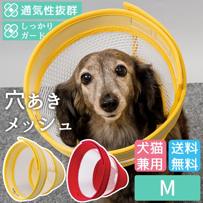 楽天市場 犬用品 エリザベスカラー ソフト 軽量 コンパクト 目 保護 術後 アニサポ アイガードエリザベスカラー Sサイズ 日本製 ダイヤ工業 Anifull アニフル 愛犬と一緒に歩くを叶えるanifull