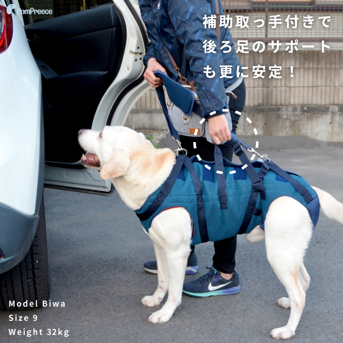 2021新発 大型犬用オス メス兼用 メッシュ3WAYケアハーネス zppsu.edu.ph