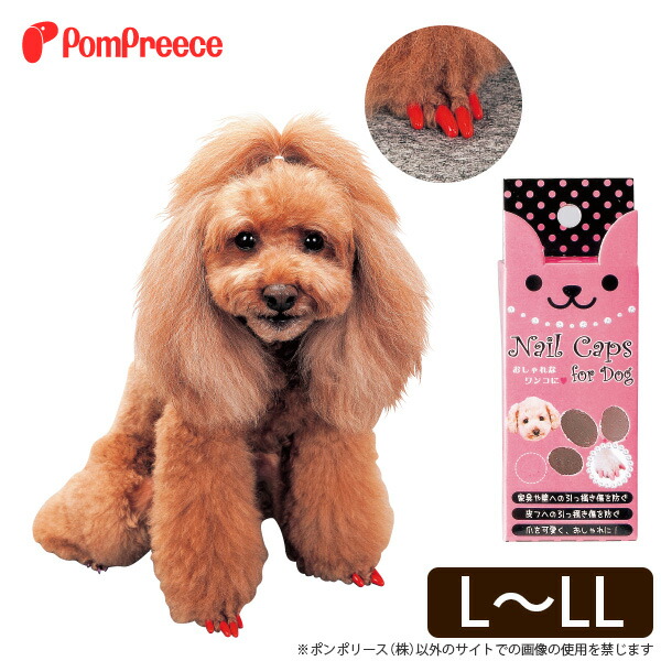 楽天市場 犬用ネイルキャップ L Ll ポンポリース ポンポリース
