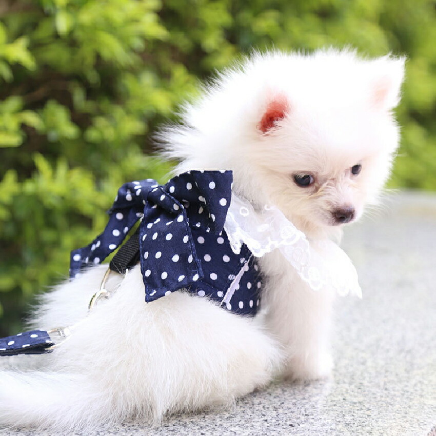 ハーネス リード付 猫 犬 猫ハーネス 猫ウエア キャットウエア ドッグウェア リボン付きベスト 可愛い レース 韓国風 水玉模様 花柄 高級 防災 ねこ ネコ 犬ハーネス プレゼントにも最適 S M L Xl 2xl 10キロまで対応 送料無料 お得なキャンペーンを実施中