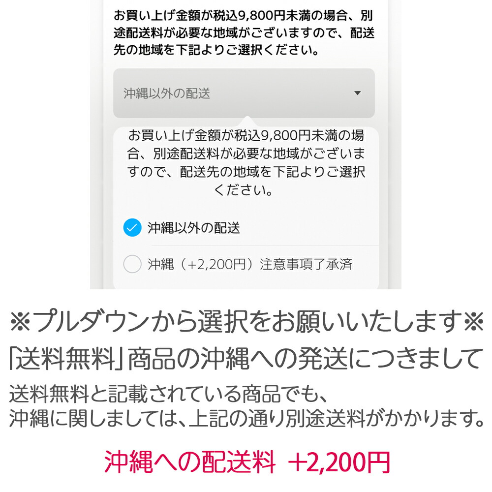 市場 お食事クッション チェア 子供用 うさぎ くま BIG 高さ調節 椅子