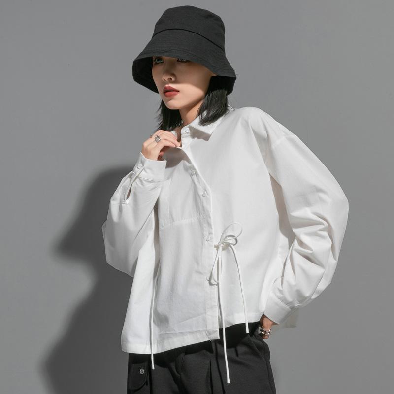レディース プルオーバー トップス 春夏 長袖 ポロ襟 一名取り草 黒 綿 原料品 70-80% 取り入れる ゆったり 影ぼうし 平平凡凡たる 丈 50-65珊 街頭 表現スタイル 欧米風 自己同一性 ひな形 特殊 表現スタイル 日常 使い走り 口さかしい 原料品 綿織物 混紡 分かりやすい