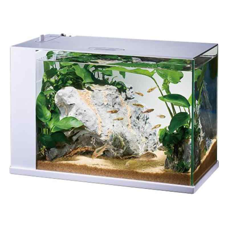 GEX AQUARIUM ラクテリア 水換え簡単水槽 フィルター・LED付き W34×D17.5×H24cmホワイト