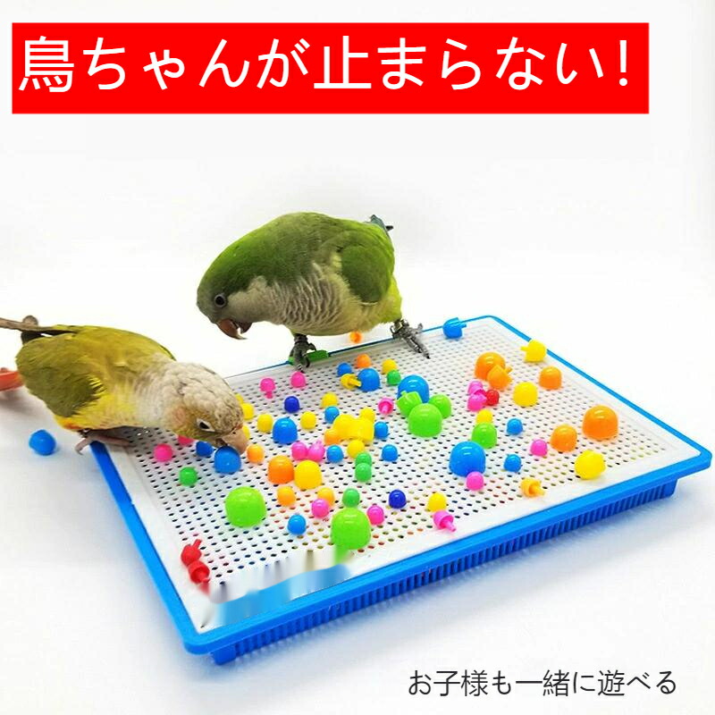 鳥、インコ用品〜まとめ売り imgrc0091107289.jpg