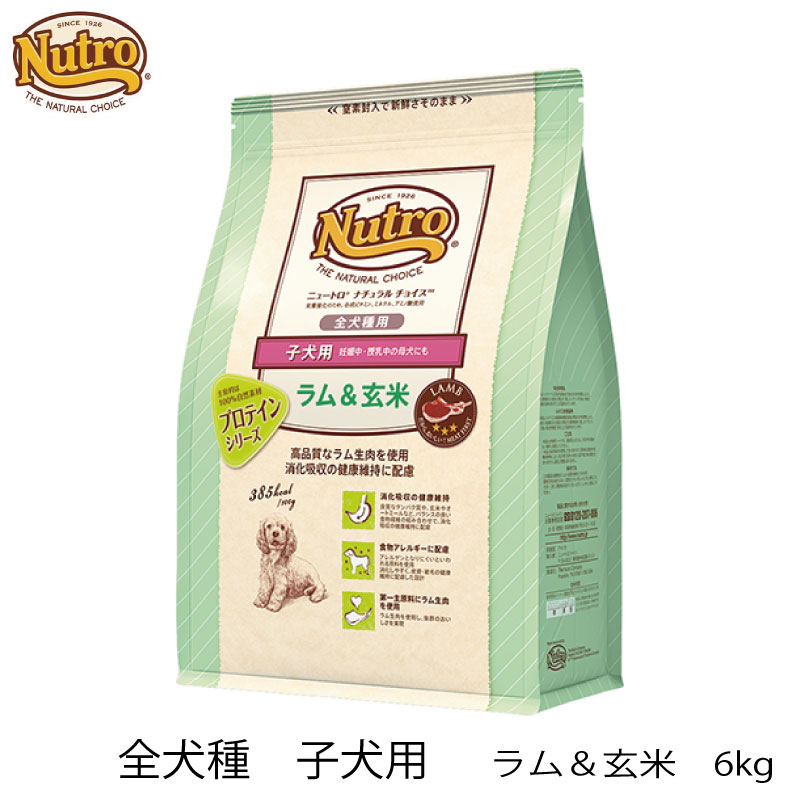 超歓迎 Nutro ニュートロ ナチュラルチョイス 子犬用 全犬種用 ラム 玄米 6kg 3980円以上で 犬 ドッグフード ラム 子犬 全犬種 プロテイン いぬとねこのトイスマ 代引不可 Danmotosport Com