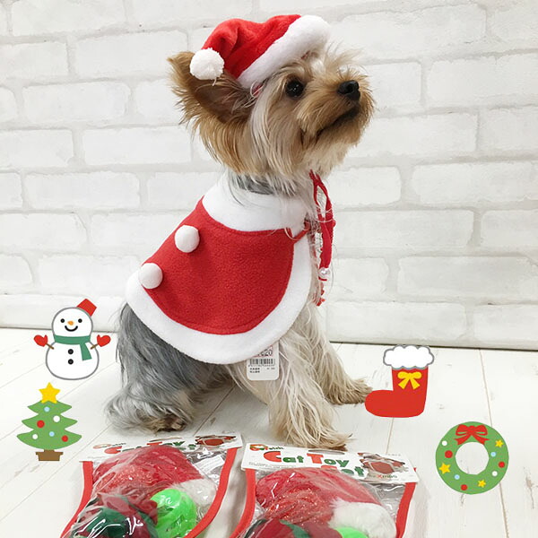 santa1.jpg