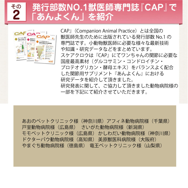 140mg 1粒 ポイント10倍 犬の関節ケア 140mg 1粒 3個セット 国産素材無添加おやつ付き 代引きはお選びいただけません いぬとねこのトイスマ素材 国内生産にこだわった動物用健康補助食品 ペットサプリメント 送料無料 あんよくん スケアクロウ 犬の関節ケア