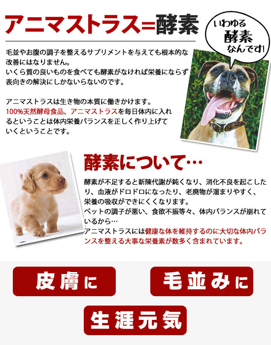 楽天市場 アニマストラス 顆粒タイプ100g 犬 ドッグ 猫 フェレット ウサギ 小鳥 ペット 小動物 栄養剤 酵素 酵母 健康維持 サプリメント ビタミン ミネラル アミノ酸 プードルチャンネル楽天市場店