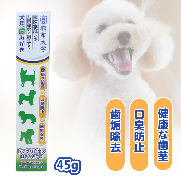 楽天市場】BIOSIS Oral Coat ビオシス オーラルコート 100ml 犬 ドッグ フェレット 猫 小動物 歯 歯磨き 歯みがき  デンタルケア オーラルケアフッ素 歯石 歯肉炎 歯垢 口臭 口内洗浄 : プードルチャンネル楽天市場店