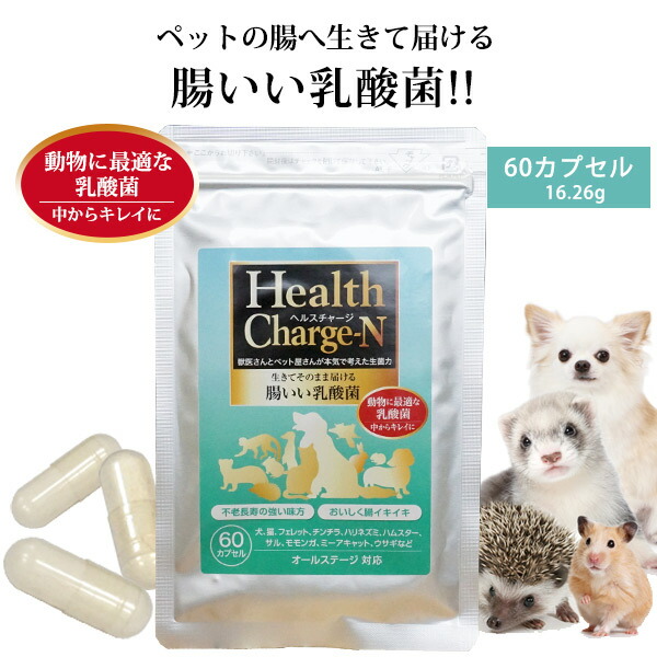 正規品 ヘルスチャージ N 60カプセル 乳酸菌 栄養補給 健康維持 オールステージ対応 国産 犬 猫 フェレット ウサギ チンチラ ハリネズミ ペット 乳酸菌 整腸 腸内環境 免疫 大腸 善玉菌 アレルギー 栄養補助 長生き Christine Coppin Com