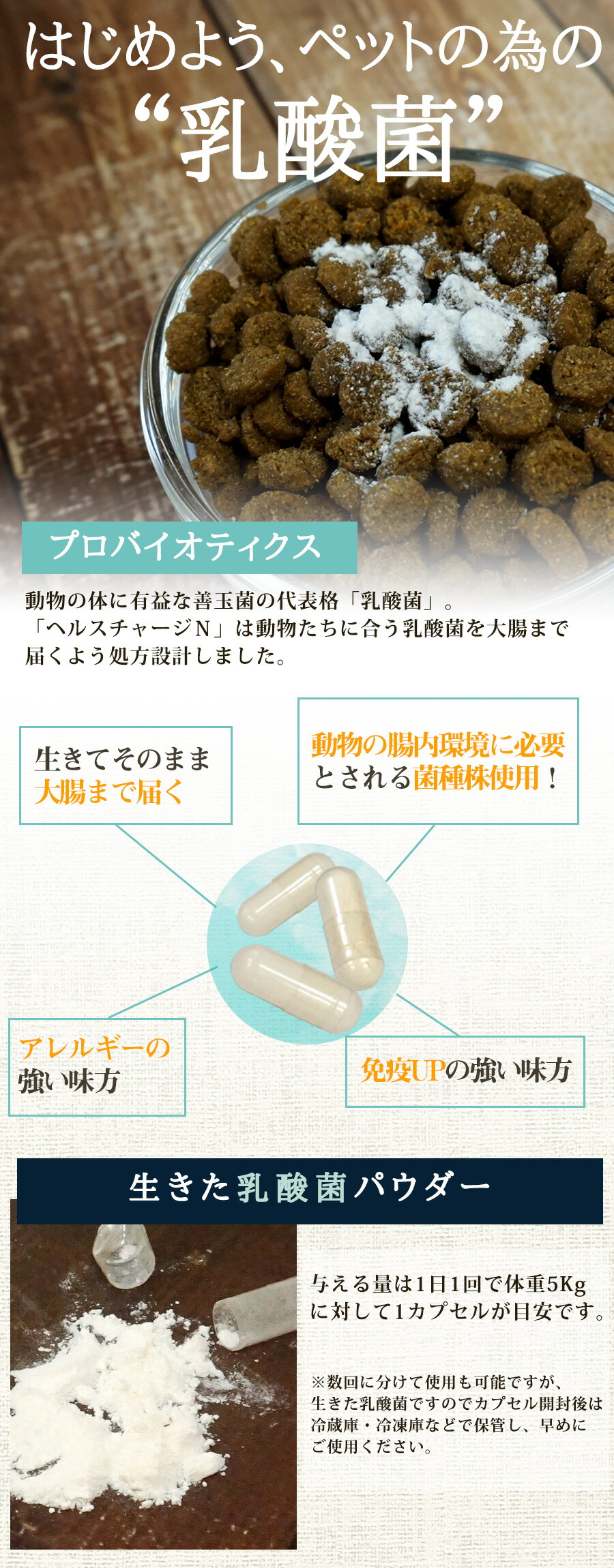 正規品 ヘルスチャージ N 60カプセル 乳酸菌 栄養補給 健康維持 オールステージ対応 国産 犬 猫 フェレット ウサギ チンチラ ハリネズミ ペット 乳酸菌 整腸 腸内環境 免疫 大腸 善玉菌 アレルギー 栄養補助 長生き Rvcconst Com