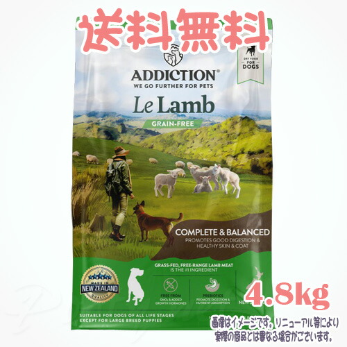 【貨物輸送無料】アディクション ル･子ヒツジ グレインフリー ドッグフード 4.8kg(800g×6) YK会社組織 犬 ボンネット えさ 上げ米 おすすめ 一般受け 無足し加える 高品質 安全性のある 長閑やか 割り増し金 組み入れる栄養物食