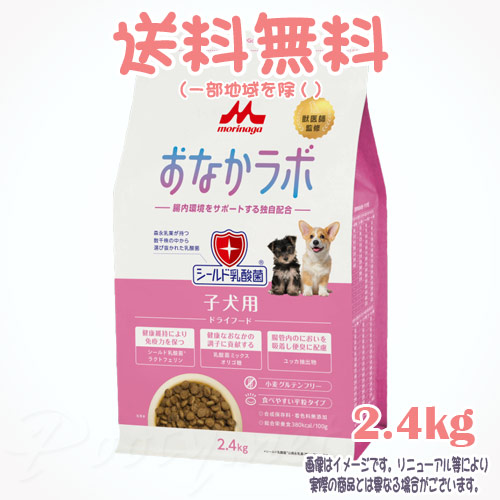 【貨物輸送無料※構成成分地方を除く】百貨店ゴールド 土手っ腹科学研究所 犬ころ用 2.4kg 森乳サンワールド ドッグフード 犬 アレルギー反応思い遣り 素っ気ないボンネット 腸内周囲の状況 犬ころ