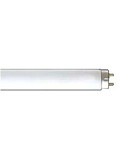 TOSHIBA（東芝） 【25本セット】 直管蛍光灯 40形 昼白色 4904550132272 メロウホワイト FL40SSN/37｜家電ランド　ポパイネット 11,925円