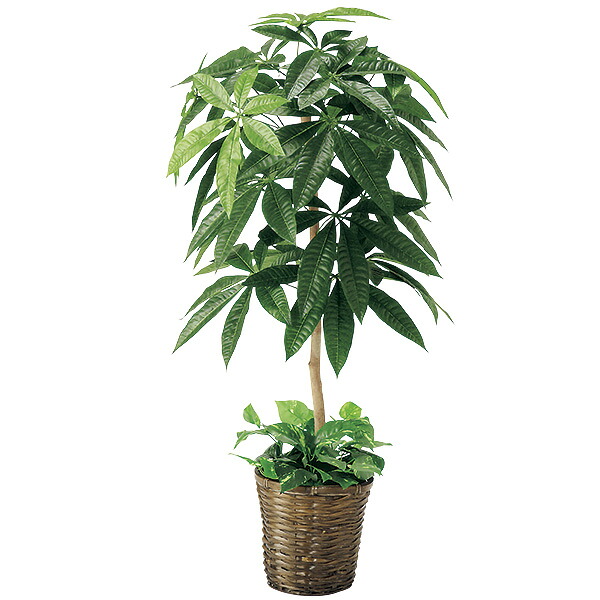 パキラ　H100×54cm　布・竹カゴ・天然素材・スチロール【1本入】