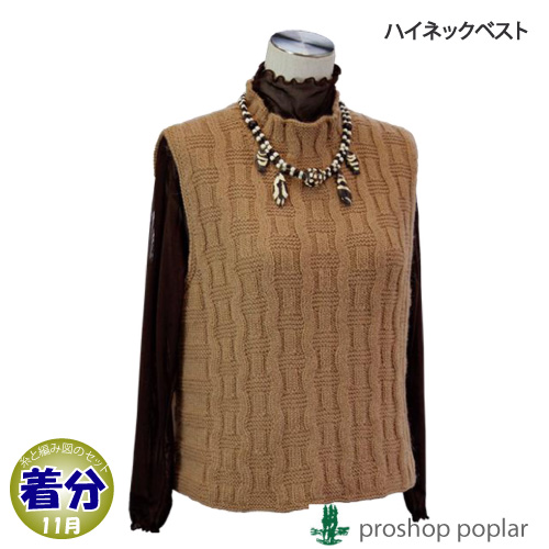 秋冬 ハイネックベスト 中級者 編み物キット Fmcholollan Org Mx