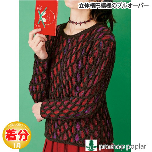 秋冬 立体楕円模様のプルオーバー 中級者 編み物キット Fmcholollan Org Mx