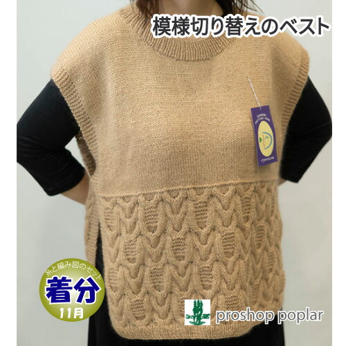 【秋冬】模様切り替えのベスト【中級者】【編み物キット】 毛糸のポプラ