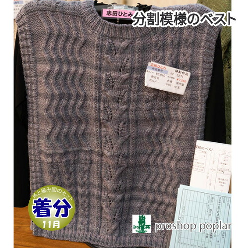 【秋冬】分割模様のベスト【中級者】【編み物キット】 毛糸のポプラ