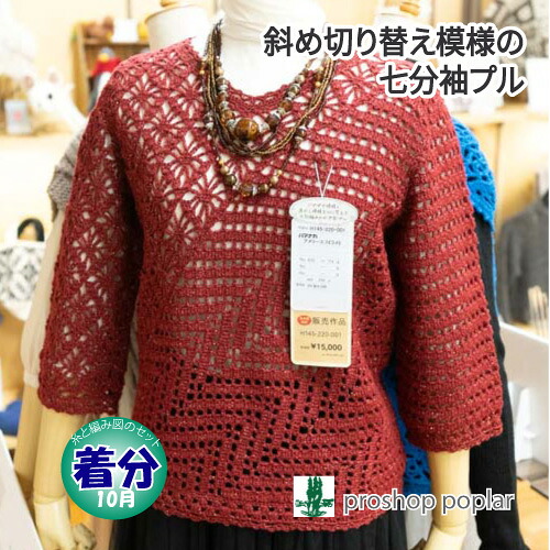 【秋冬】斜め切り替え模様の七分袖プル【中級者】【編み物キット】 毛糸のポプラ