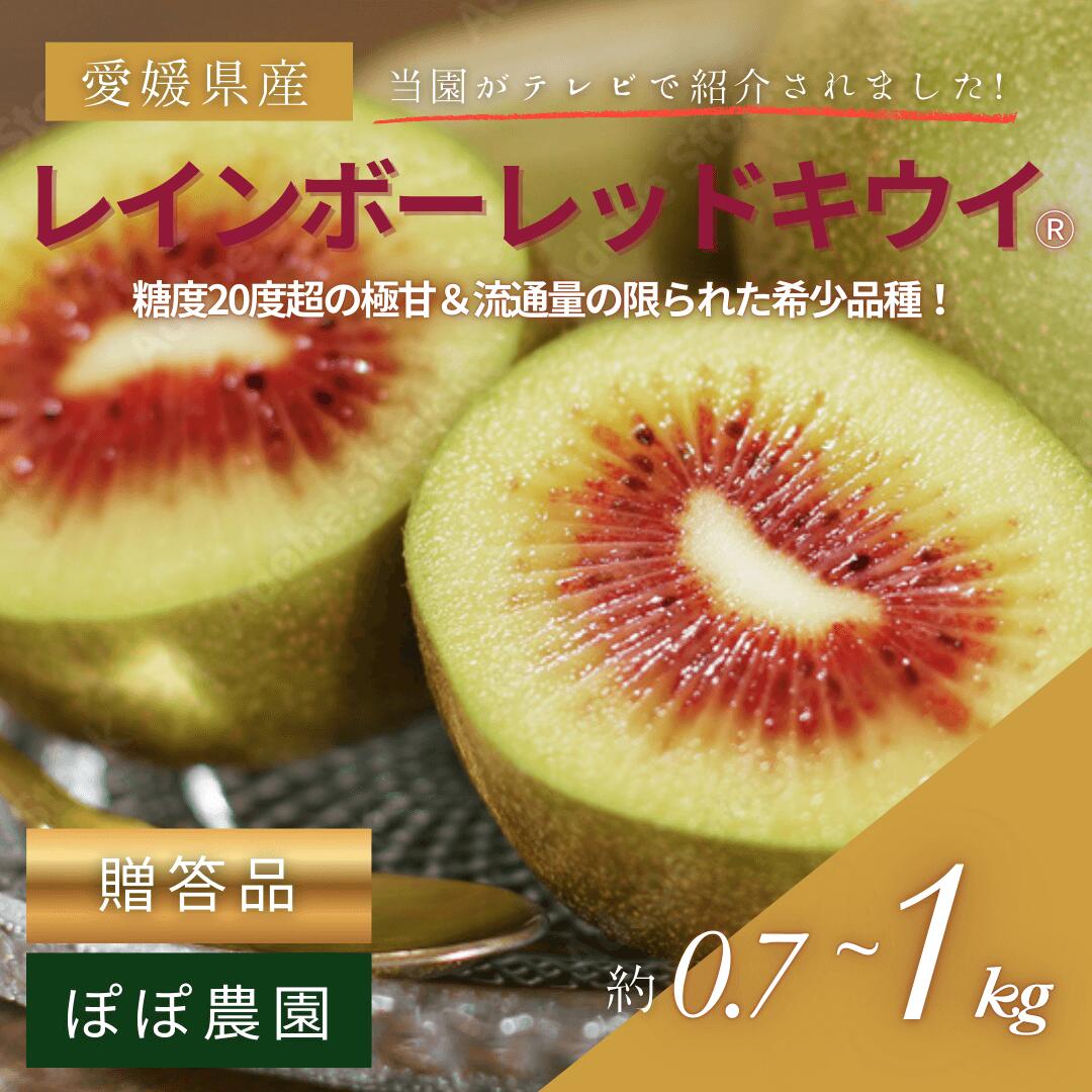 ぱるみん様・お得意様ご予約分キュウイフルーツ20Kg ともみ様・お得意様ご予約分キュウイフルーツ20キロ箱詰め発送