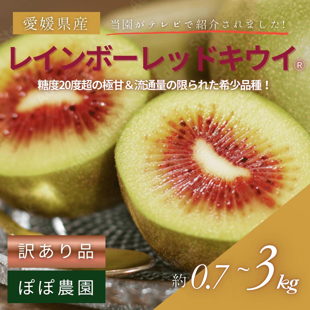 ポラリス キウイフルーツ【レッドキウイ】特大サイズ5キロ ゼスプリ＞ルビーレッドキウイ 約2kg 20~25玉前後