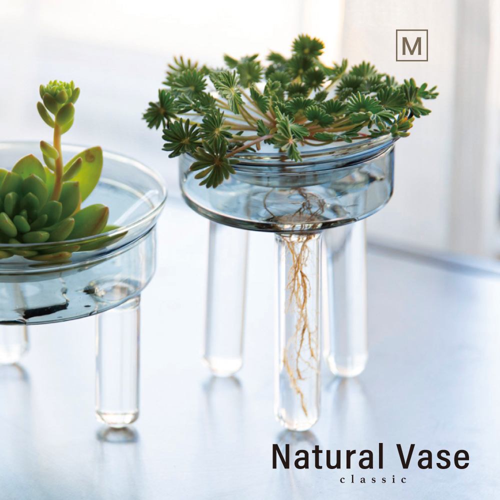 楽天市場 Natural Vase クラシック 花瓶 おしゃれ 北欧 一輪挿し 小さい 足つき 足付き 水耕 水耕栽培 球根 水栽培 観葉植物 ガラス 小さめ インテリア 雑貨 水耕栽培 多肉植物 花器 フラワーベース 北欧 オシャレ おしゃれ 母の日 贈り物 誕生日 おうち時間