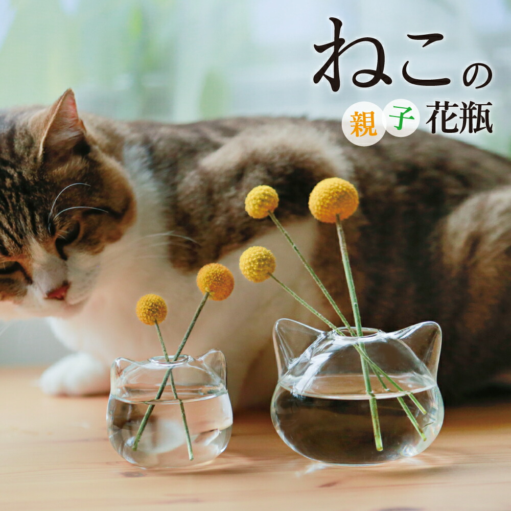 楽天市場 雑誌掲載 人気のねこ花瓶がセットで登場 ねこ 花瓶 小さい 一輪挿し ガラス 花器 フラワーベース 猫型 おしゃれ ミニ花瓶 ミニサイズ おそろい 猫 雑貨 猫グッズ ねこ雑貨 小さな 水耕 水耕栽培 透明 インテリア フラワー かわいい 可愛い 贈り物 花 お誕生