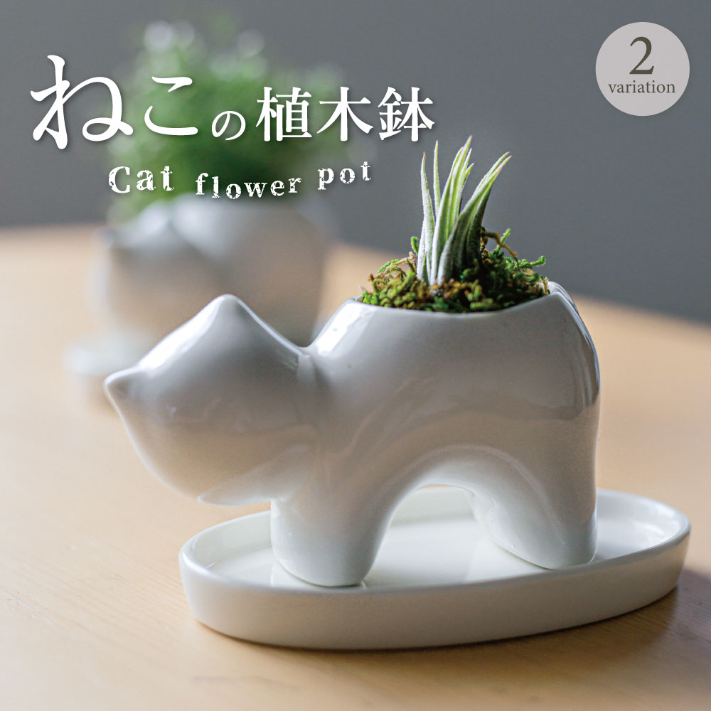 フ*ズ様 猫型陶器特大プランター 楽天市場】猫 ねこ 鉢 陶器 植木鉢 プランター 2個セット