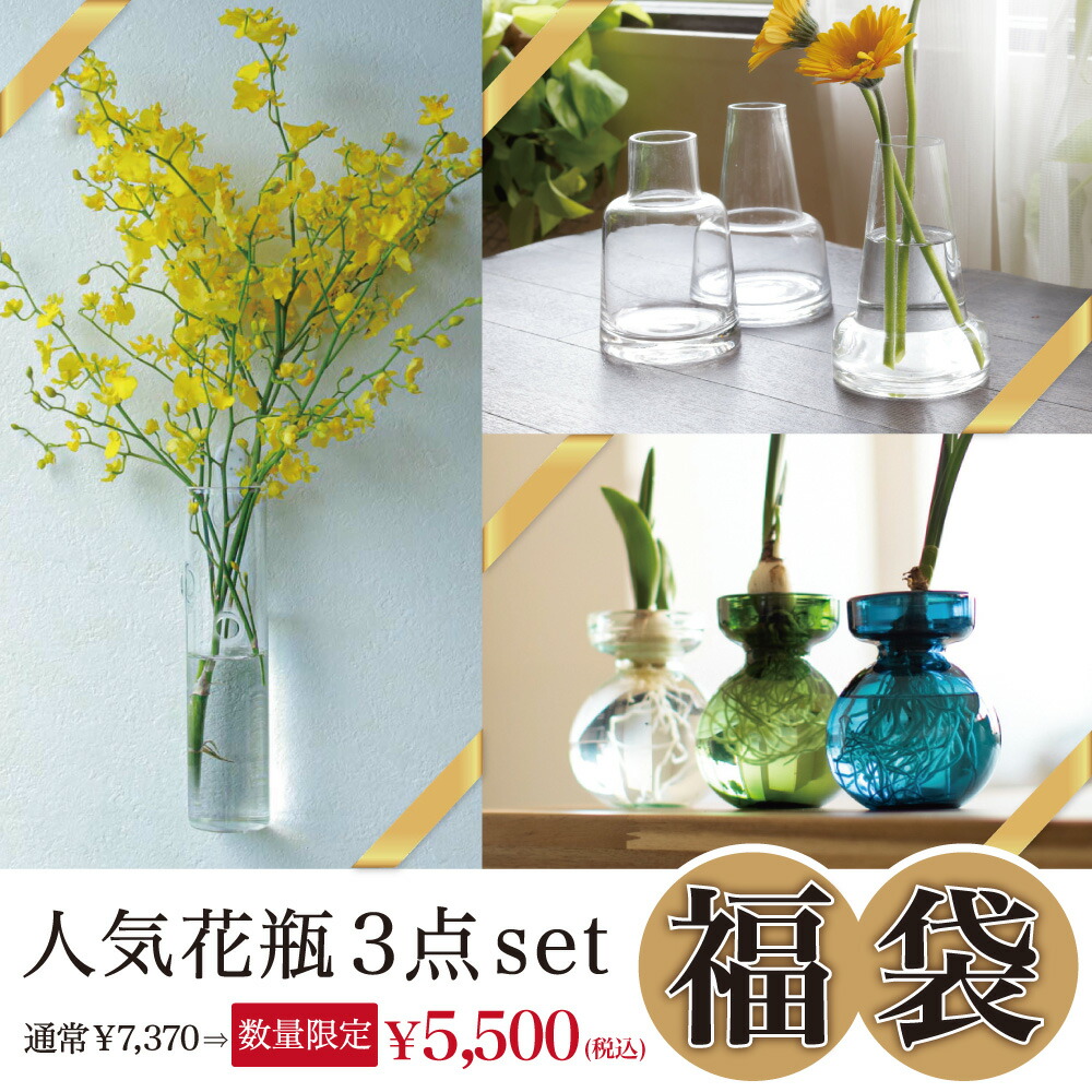 楽天市場 楽天市場ランキング受賞 雑誌リンネル掲載 倒れない花瓶 壁掛け 壁かけ 花瓶 一輪挿し 小さい ガラス 壁 壁飾り おしゃれ 花びん 夏 涼しげ 癒し インテリア 花 壁かけ 花器 フラワーベース 水耕栽培 コンパクト 贈り物 癒しグッズ かわいい 誕生日 楽天市場 楽天市場ランキング受賞 雑誌リンネル掲載 倒れない花瓶 壁掛け 壁かけ 花瓶 一輪挿し 小さい ガラス 壁 壁飾り おしゃれ 花びん 夏 涼しげ 癒し インテリア 花 壁かけ 花器 フラワーベース 水耕栽培 コンパクト 贈り物 癒しグッズ かわいい 誕生日