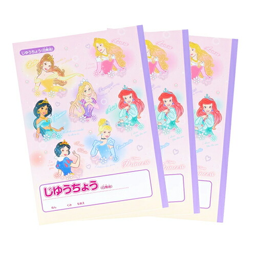 ディズニープリンセス新品絵本　11冊　まとめ売り 2535-5032-