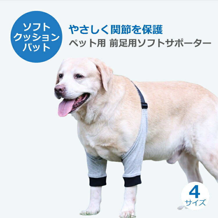 楽天市場】犬前足サポーター 犬 サポーター 前足 関節プロテクター