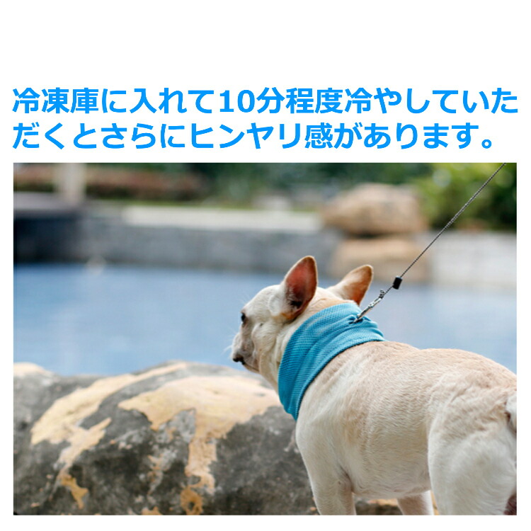 楽天市場 送料無料 ペット用 ネッククーラー クール バンダナ ネック 犬 猫 首輪 ハーネス リード メッシュ 小型犬 冷却 スカーフ 熱中症対策 涼感 ひんやり Porto 楽天市場店