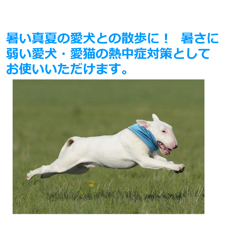 楽天市場 送料無料 ペット用 ネッククーラー クール バンダナ ネック 犬 猫 首輪 ハーネス リード メッシュ 小型犬 冷却 スカーフ 熱中症対策 涼感 ひんやり Porto 楽天市場店