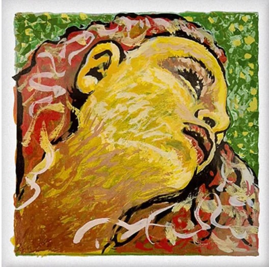 楽天市場】【Evah Pirazzi NEO】エヴァバイオリン ネオ バイオリン弦