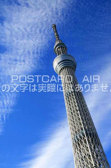非売品　スカイツリー　ポストカード　絵葉書 日本の絶景ポストカード ～春～ 東京スカイツリー/東京 | いろは