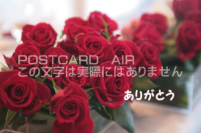 薔薇の輪舞 : 薔薇の悲劇　２冊　帯　おまけ　グリーティングカード有 残りわずか】 帯 2冊 薔薇の悲劇 : 薔薇の輪舞 おまけ 本